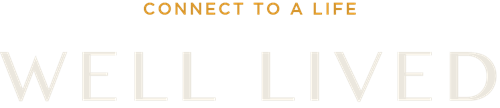 NOVEL Nona NOVEL Nona logo